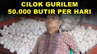 RAJA CILOK DARI KAMPUNG KANDANG MAMPU PRODUKSI 50.000 BUTIR PER HARI