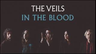 The Veils - In The Blood (Audio) chords