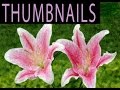 How to Make Thumbnails for your YouTube Videos
