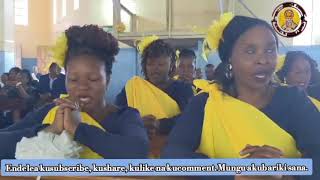 Bwana Utuhurumie Kwaya Ya Mt Alexander Ipogolo