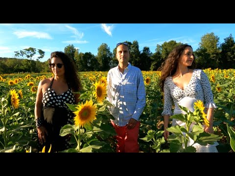 "Girasoles" (Sunflowers) by ALBA Musik - Albert Alabedra & Bárbara Martínez #flamenco