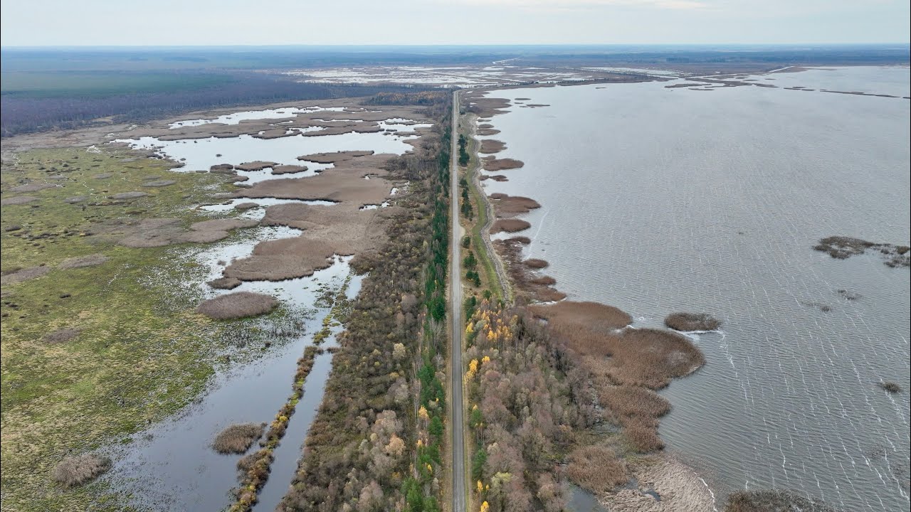 Озеро Лубанас в ноябре. Латгале. Латвия