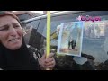اغنية عن شهداء بيشمركة روج افا 