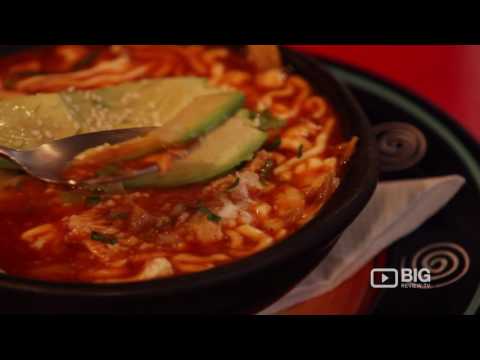 Viva Mexico Mexican Restaurant in Wellington NZ serving Quesadilla and Tacos | ข้อมูลรายละเอียด