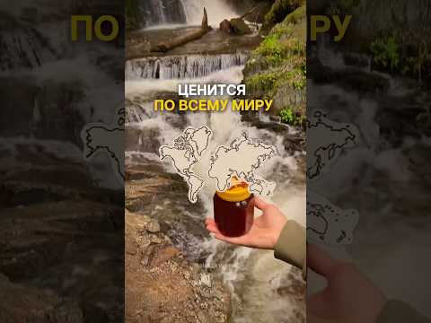 Один из самых
