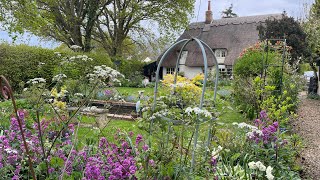 Cottage gardening in the spring sunshine