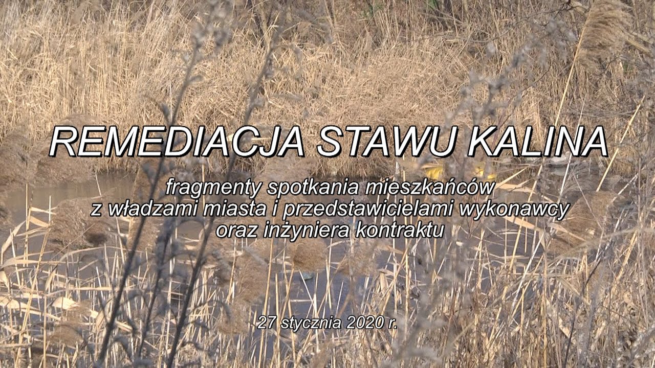 Remediacja Stawu Kalina