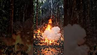 Fire vs Rain in Amazon 😱🔥🌧️ | Nature Battle #wildlife #viralvideo #nature #viralmoment #shots