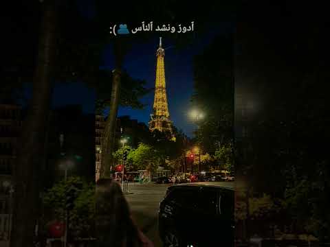 كلب مامال للغير ستوريات انستا حزينه بدون حقوق 