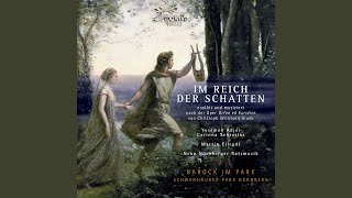 Im Reich der Schatten, Act III, Scene 1: "Aria. Kann ich leben, Eurydike" (Orpheus)