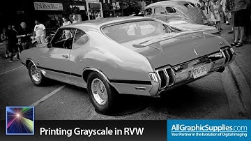 Printing Grayscale in Roland Versaworks - All Graphic Supplies