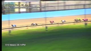 SAN SUN 01 JUN 14 R11