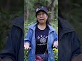 Prepping for Pandas: Continued Conservation