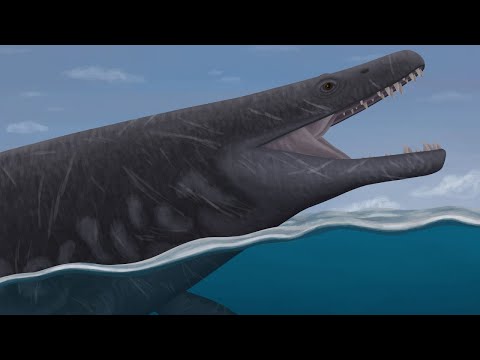 The New Mosasaurid Which Was The Bulldog Of Its Family
