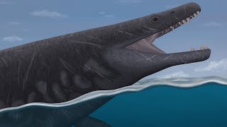 The New Mosasaurid Which Was The Bulldog Of Its Family