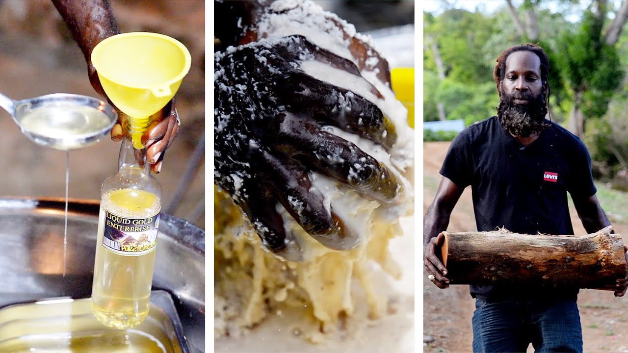 All-natural COCONUT OIL Made From Scratch in Bethel, Trinidad & Tobago 🇹🇹 Foodie Nation Feature