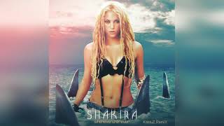 Shakira - Whenever, Wherever (KaktuZ RemiX)