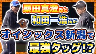 【プロ野球】桑田真澄氏と和田一浩氏が最強タッグ!?『打撃の極意』伝承でオイシックス新潟の選手が躍動!?【春季キャンプ】
