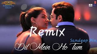 Official remix dil me ho tum song ...