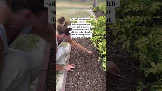Summertime is coming. Get your planter areas ready, spruce up your shrubs, add a border and mulch!