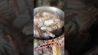 Steam Crabs Province Style #crabs #steam #buhayprobinsya Steam Crabs Province Style #crabs #steam #buhayprobinsya