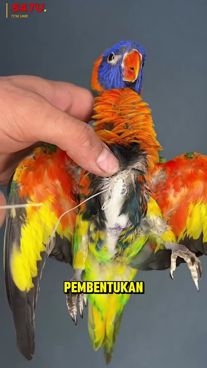How to Turn Dead Animals into Living Animals!? #shots #animals
