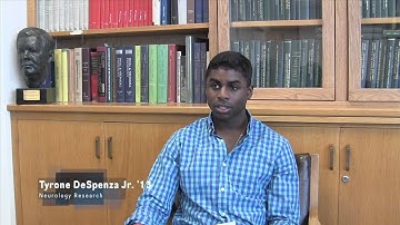 Undergraduate Research, Scholarship & Creativity - Data Driven Research