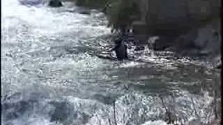 Running Pipeline Rapid - 4