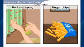 Understand Absorption and Adsorption |Chemistry | Class 9