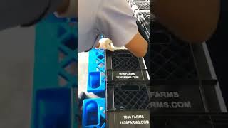 Printing on Plastic Crates