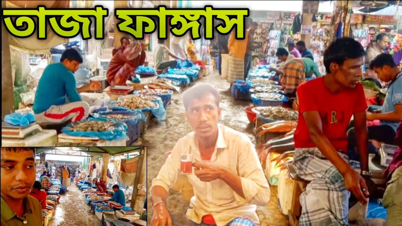 তাজা পাঙ্গাস- মাছ বিক্রি | Fresh Pangas Fish for Sale | Daily Fresh River Fish 
