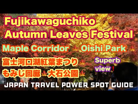 FujikawaguchikoAutumn Leaves Festival🍁 Maple Corridor 🍁 Oishi Park 🍁 富士河口湖紅葉まつり🍁もみじ回廊🍁大石公園🍁