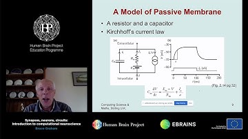 Graham Bruce - Synapses, neurons, circuits: Introduction to computational neuroscience