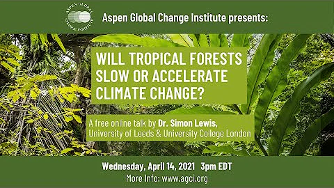 Will Tropical Forests Slow or Accelerate Climate Change? - DayDayNews