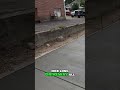 Driveway Transformation: Concrete Progress &amp; Future Plans!