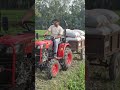 Choto Machine, Boro Power! Mini Tractor Diye Krishi Kaaj Hobe Shohoj 🔥🌾 #shotrs