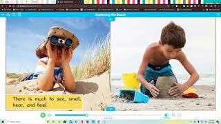 5 Senses at the Beach