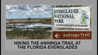Hiking the Anhinga Trail at the Florida Everglades by 3W Outdoors 20 views 1 month ago 8 minutes, 46 seconds