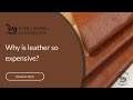 Why is leather so expensive  steel horse leather