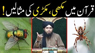 Quran Me Makkhi Machar Aur Makri Ki Misal Example Kyun Hain ?? By Engineer Muhammad Ali Mirza 