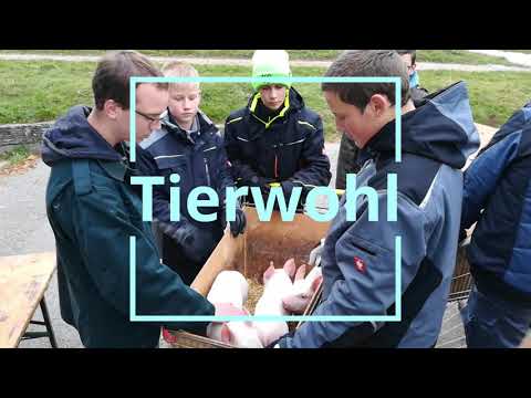 Nutztierhaltung in der LFS Mistelbach