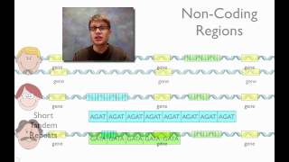 DNA Fingerprinting