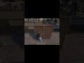 #pubgeniyivuruşlar #pubgviral #pubgfpp #pubgfps #pubgm24headshot #pubgm24tdm #pubgmobilehile