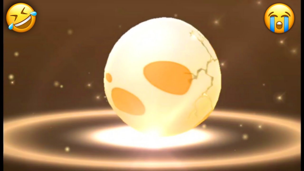 😂Worst eggs ever hatched in pokemon go😭