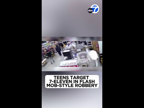 4 teens steal alcohol, assault clerk in flash-mob robbery at 7-Eleven