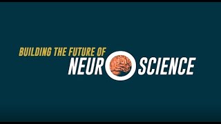 Building the future of neuroscience - International Board Meeting 2020