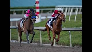 2018 Pegasus World Cup (Partial Broadcast)