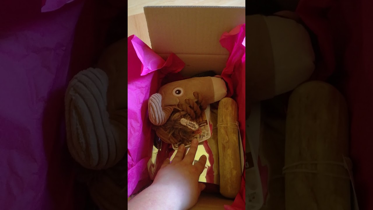 Unboxing Dogzbox Mai 2018