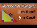 Resolución de Triángulos - Trigonometría