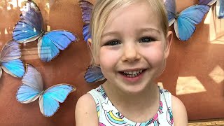 The Cambridge Butterfly Conservatory | Field Trip Friday | Raising A to Z